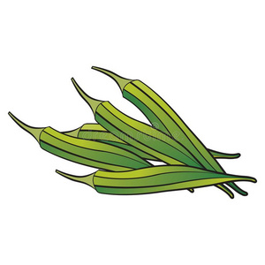 秋葵插画-秋葵手绘-秋葵卡通图-摄图新视界