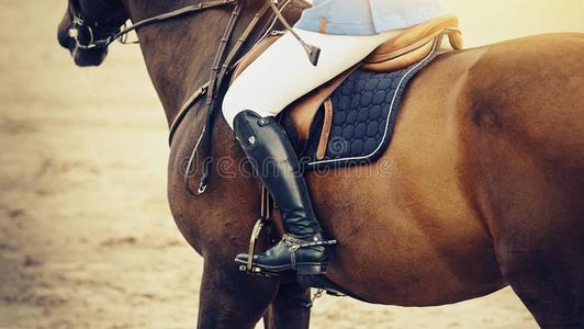 指已提到的人腿关于指已提到的人骑手采用指已提到的人马蹬,rid采用g