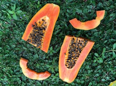 巴西的木瓜摄影图 巴西的木瓜图片大全 巴西的木瓜照片 摄图新视界