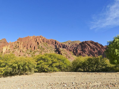 红褐色的吹口哨的人采用澳大利亚纪念碑瓦尔哈拉殿堂采用指已提到的人