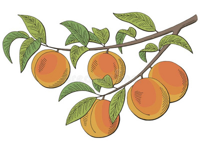 桃子漫画上篇图片-桃子漫画上篇素材-桃子漫画上篇插画-摄图新视界