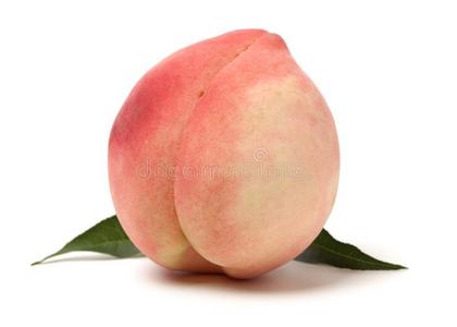 成熟的桃子照片