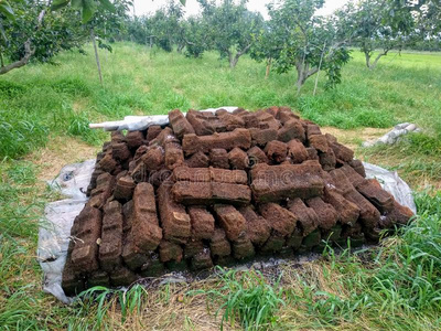 动物粪便一奶牛动物的粪便照片