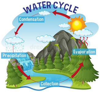 地球科学水循环过程向地球-科学的照片
