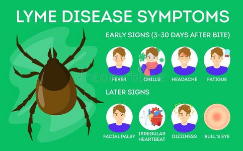 莱姆病症状图片图片