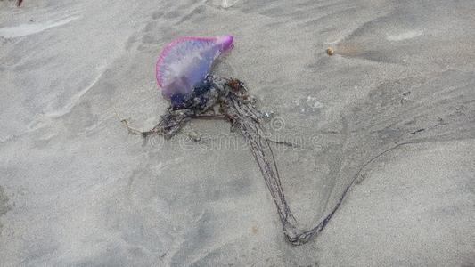 物理科摄影图 物理科图片大全 物理科照片 摄图新视界