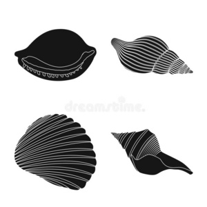 软体动物门图片 软体动物门素材 软体动物门插画 摄图新视界