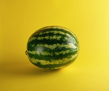 大的绿色的有条纹的全部的西瓜照片