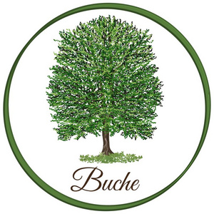 榉树插画-榉树手绘-榉树卡通图-摄图新视界