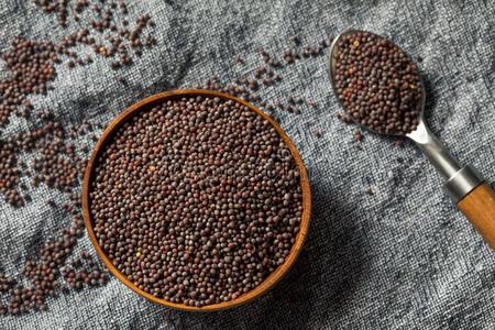 芥菜种子图片-芥菜种子素材-芥菜种子插画-摄图新视界