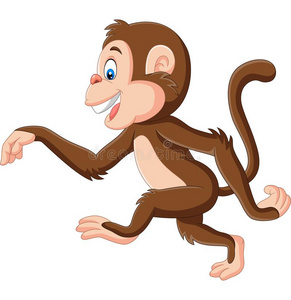 一nch猕猴, 猴滩, 皮皮岛, 安达曼海, 甲米泰国猴子亚洲人同行的总念