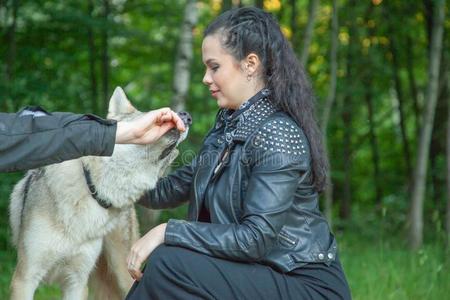 欢乐狼人成熟的漂亮的模型女孩和真的混合动物关于狼和狗照片