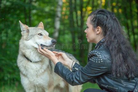 狗模型成熟的漂亮的模型女孩和真的混合动物关于狼和狗照片