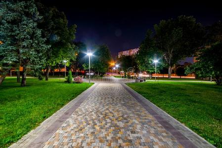 暗夜公园图片