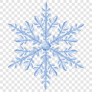 大的半透明的圣诞节雪花照片
