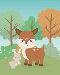 漂亮的幼鹿和兔子动物农场字符照片