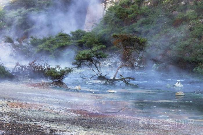 蒸汽上升的从暖和的火山的海域采用新的西兰岛.