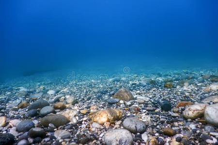 大海水海中石图片