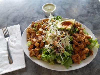 古文书paleography古文书沙拉向表照片