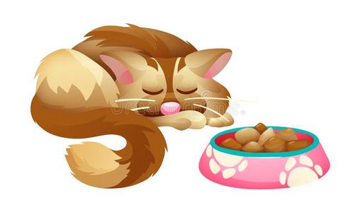 猫和一碗关于食物矢量照片