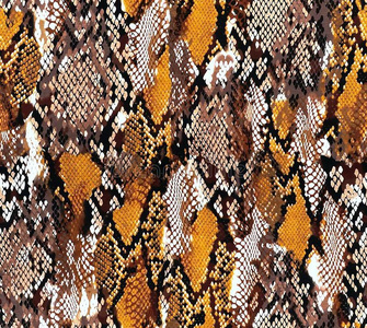 皮蛇蛇皮模式质地反复的无缝的单色画质地照片