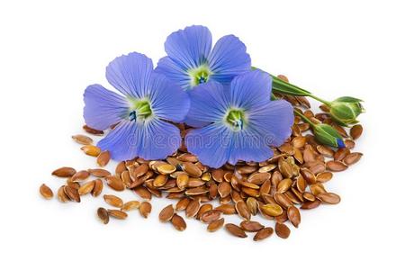 亚麻种子和花隔离的向白色的背景照片