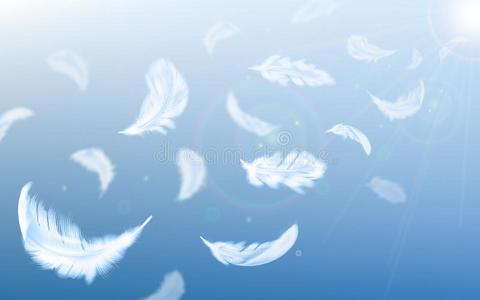 空中飞舞的羽毛图片图片