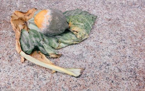 腐烂的柠檬模子甘蓝洋葱绿色的黄色的安静的黎明植物照片