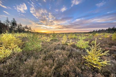 沃吕沃公园图片-沃吕沃公园素材-沃吕沃公园插画-摄图新视界