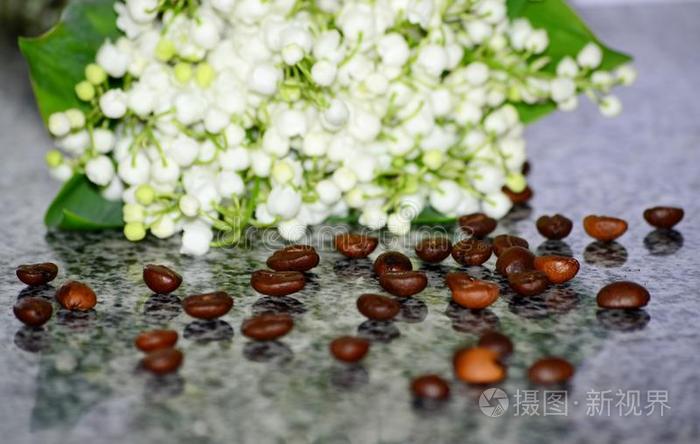 美丽的明信片横幅关于早的春季花关于百合花关于英语字母表的第个字母照片 正版商用图片3790qr 摄图新视界