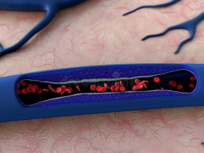 血管收缩剂图片