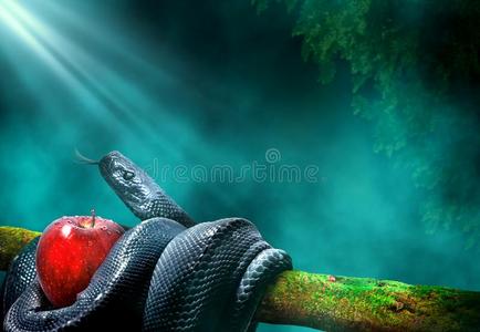 amel 马特里玉米蛇缠在一根树枝灌木毒蛇 atheris squamigera 看起来