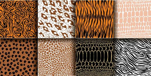 非洲狮子皮图片