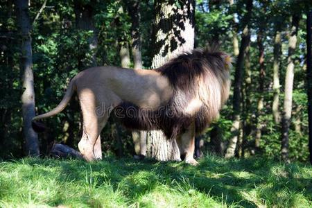 加丹加省图片-加丹加省素材-加丹加省插画-摄图新视界