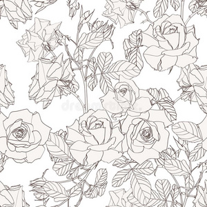 收集优美优美的无缝的模式和手疲惫的线条米黄色玫瑰花照片