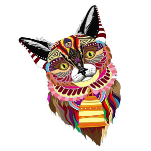 复杂的有色的漂亮的好设计闹着玩的猫矢量剪贴画照片