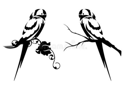 怎样简单画小鸟图片