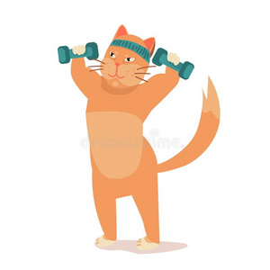 适合猫采用健身房泵肌肉,举起照片