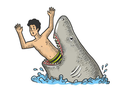 鱼吃人的漫画鲨鱼吃男人草图矢量说明照片