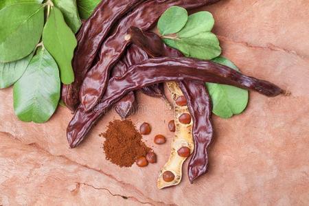 长豆角茄子图片