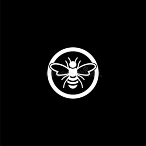 蜜蜂蜘蛛兰图片 蜜蜂蜘蛛兰素材 蜜蜂蜘蛛兰插画 摄图新视界