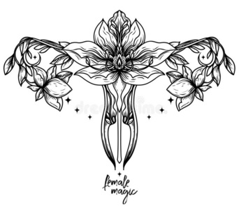 莲花海报`女性的魔法`海报和象征关于子宫和莲花花照片