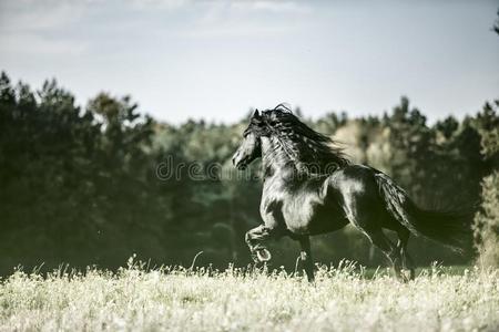 奔驰名车竖屏图图片