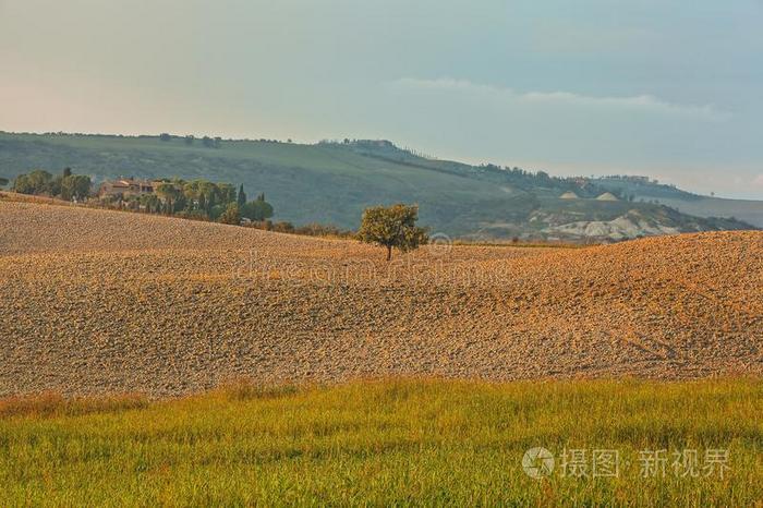 风景关于小山托斯卡纳区采用秋采用意大利