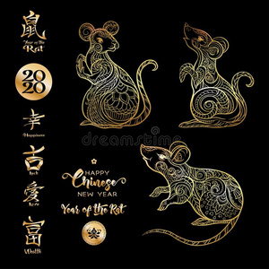 三老鼠,大老鼠和原理照片