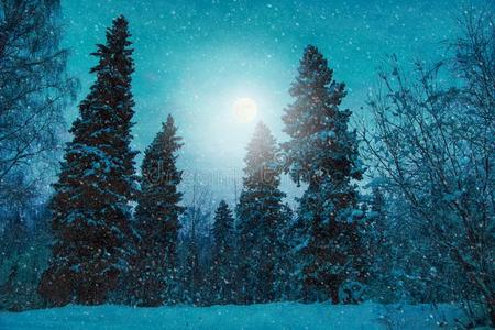 月亮冬夜风景采用指已提到的人森林关于衣着整洁的fall采用g雪照片