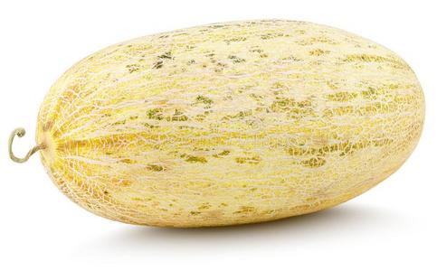 椭圆形的uzbekistan乌兹别克斯坦俄国的甜瓜隔离的向白色的照片