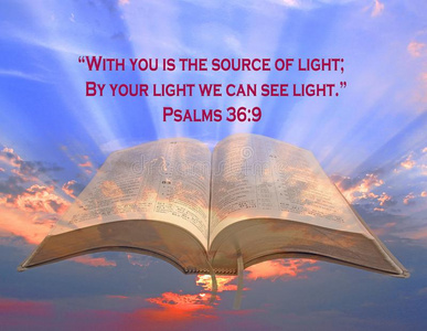 圣经经文纹身图片