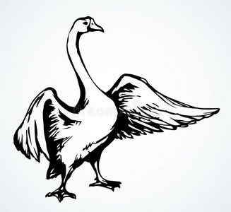 周黑鸭标识鹅采用飞行.矢量draw采用g照片