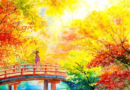 京都秋水彩绘画-艺妓和枫树树采用秋京都,英语字母表的第10个字母照片